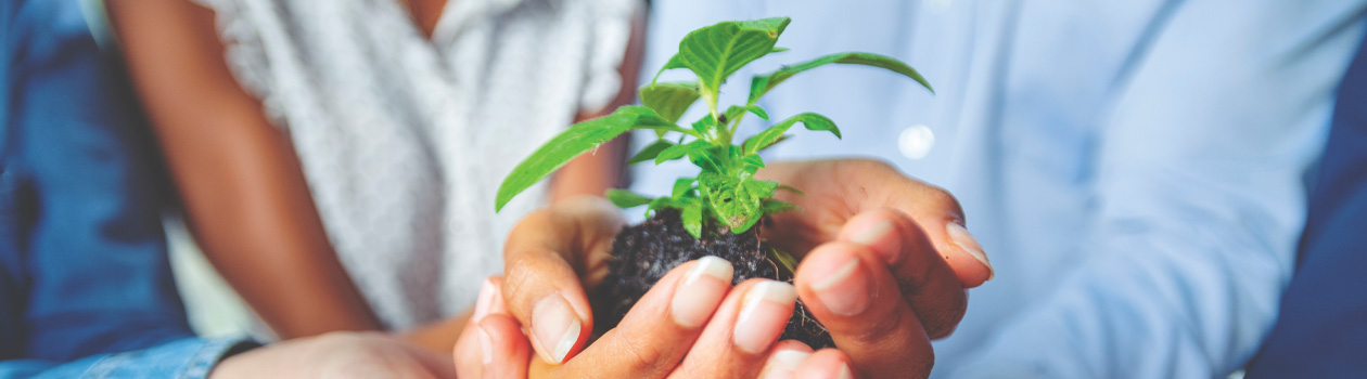 Sustainability Report
