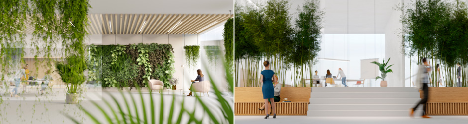 Biophilic elements create a positive aura of workplace wellness. Biophilia helps define the texture of the office floor.