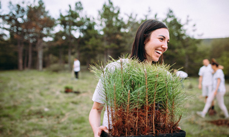Woman carrying cypress plants