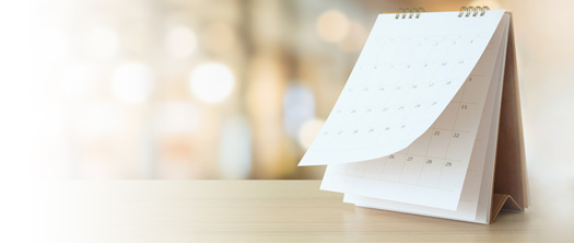 2023 Calendars & Planners